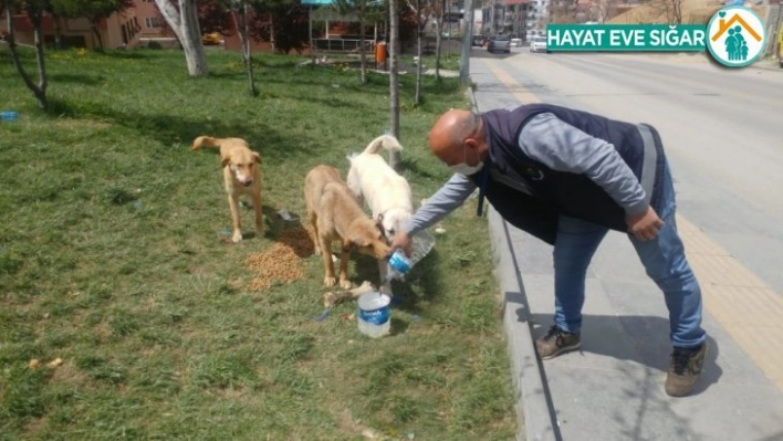 Dört günlük sokağa çıkma yasağında Mamak mesaisi