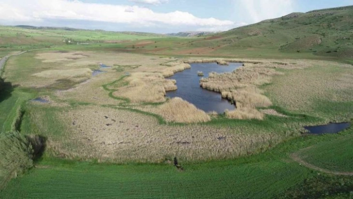 (Düzeltme) Habitat harikası göl, maden ocağı tehdidi altında