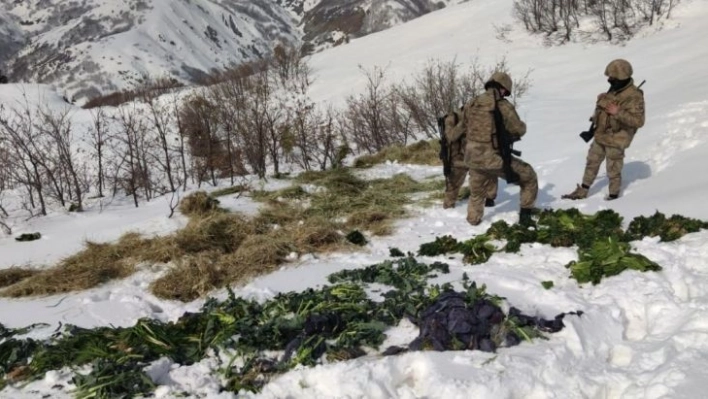 Ekipler, jandarma ile birlikte doğaya yem bıraktı