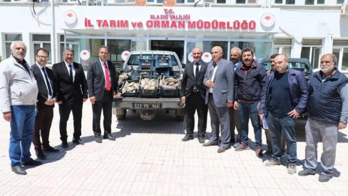 Elazığ'da 1 ton 150 kilogram kaçak avlanan balık yakalandı