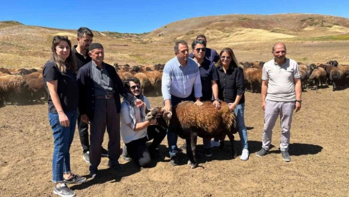 Elazığ'da 187 yetiştiriciye bugüne kadar 18 milyon 638 bin lira destek verildi