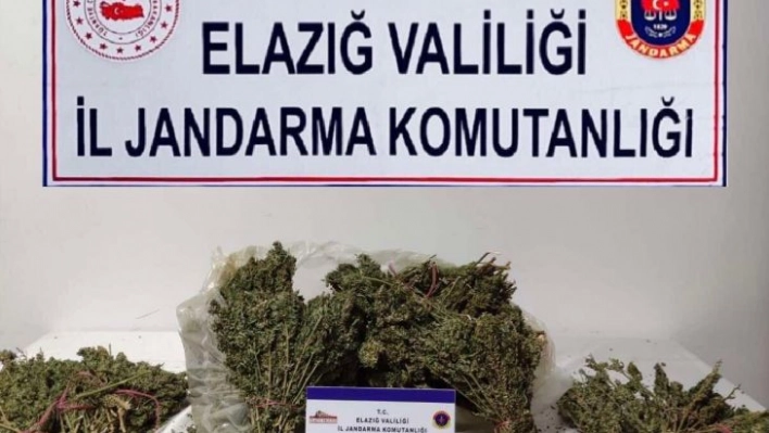 Elazığ'da 4,5 kilo esrar ele geçirildi