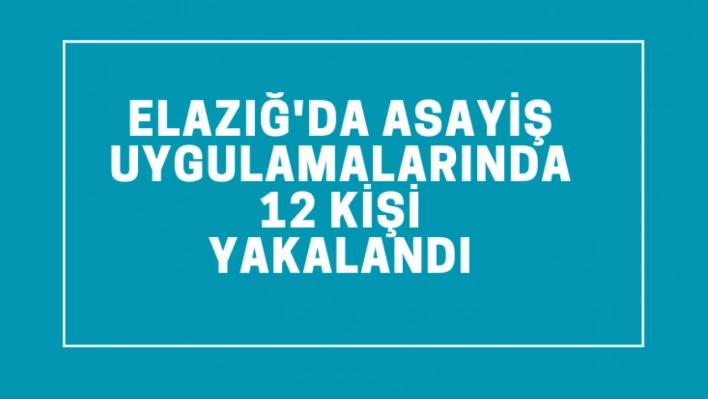 Elazığ'da asayiş uygulamalarında 12 kişi yakalandı