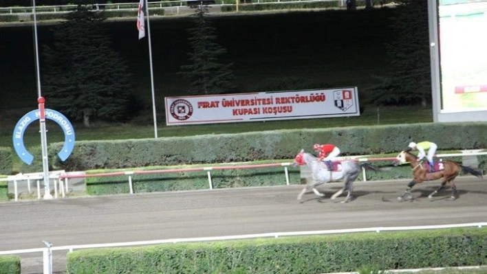 Elazığ'da at yarışlarına sayılı günler kaldı