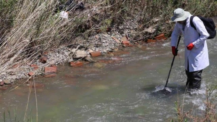 Elazığ'da biyoçeşitlilik izleme çalışmaları sürüyor