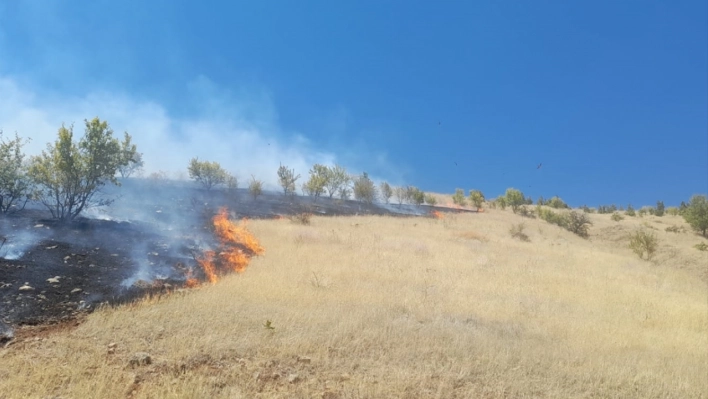 Elazığ'da çıkan orman yangını kontrol altına alındı