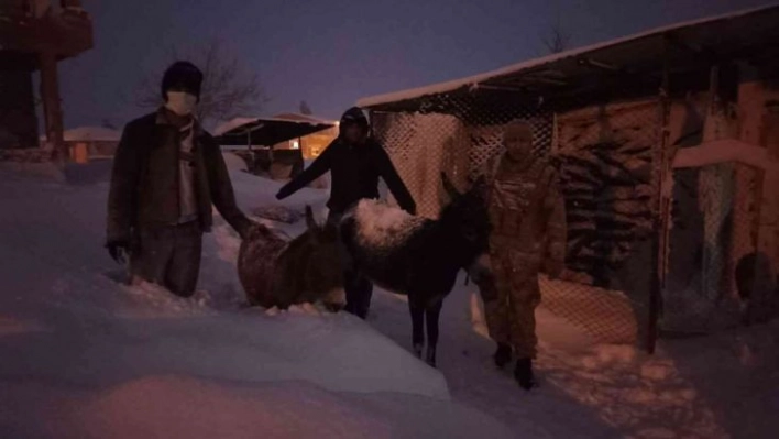 Elazığ'da donmak üzere olan hayvanlar kurtarıldı