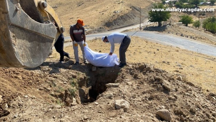 Elazığ'da etrafa saçılan kemikler toplanıp kefenlendikten sonra yeniden defnedildi