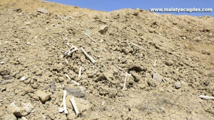 Elazığ'da içme suyu yolu mezarlık içinden geçince, kemikler etrafa saçıldı