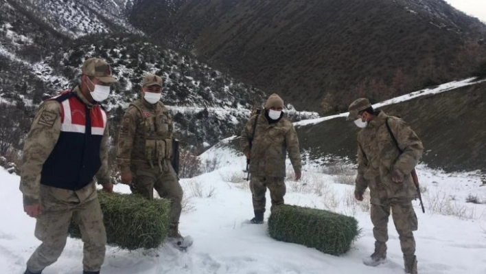 Elazığ'da jandarma, yaban hayatı için doğaya yem bıraktı