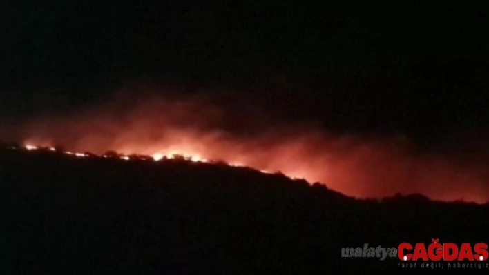 Elazığ'da orman yangını