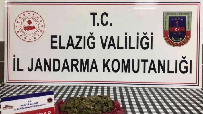 Elazığ'da uyuşturucu operasyonu: 1 gözaltı