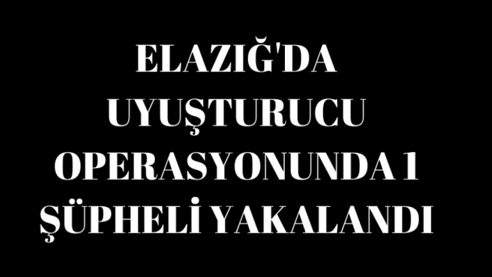 Elazığ'da uyuşturucu operasyonunda 1 şüpheli yakalandı