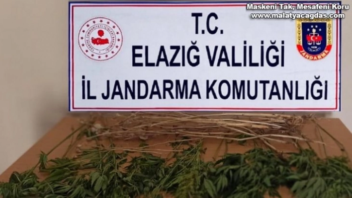 Elazığ'da uyuşturucuyla mücadele çalışması