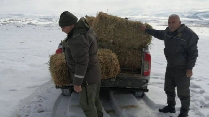 Elazığ'da yaban hayvanları için doğaya yem bırakıldı