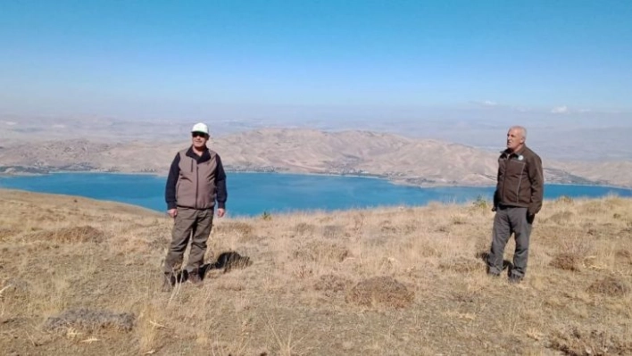 Elazığ'da yasadışı avcılık yapan şahsa ceza