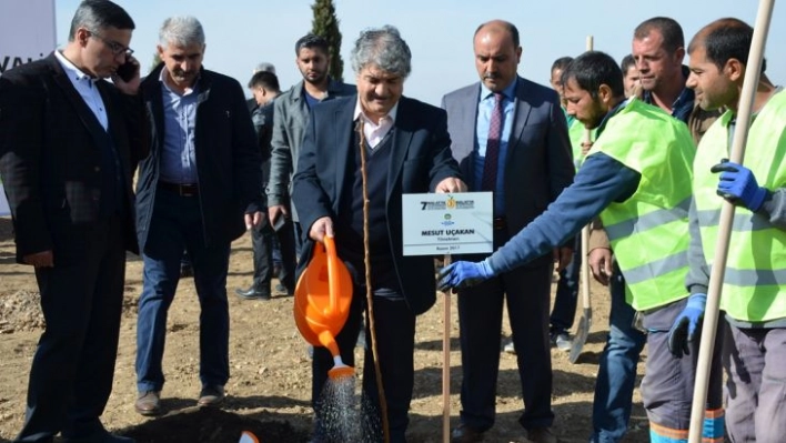 Sanatçılar Malatya'da kayısı fidanı dikti