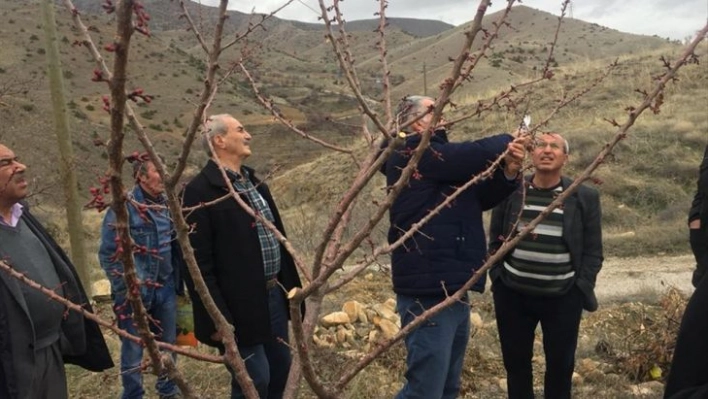 Keban'da kayısı yetiştiricileri bilgilendirildi