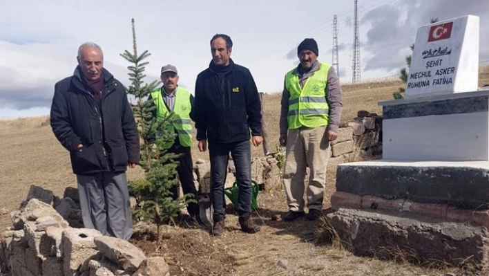 Şehit Meçhul Asker mezarına fidan dikildi