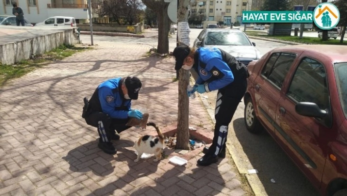 Elazığ polisi, sokak hayvanları için görevde