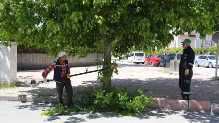 Elazığ, yeşil bir yaz mevsimine hazırlanıyor