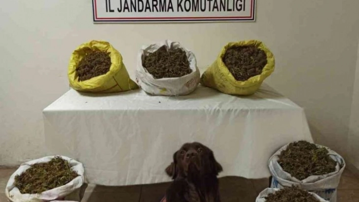 Erzurum'da 45 kilogram kubar esrar ele geçirildi