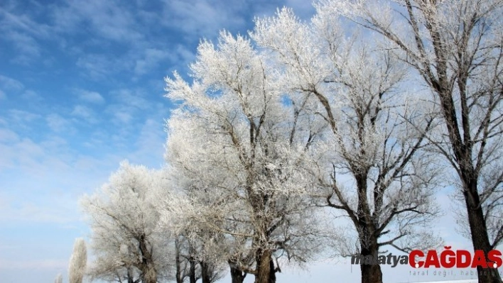 Erzurum'da kırağı sonrası görsel şölen