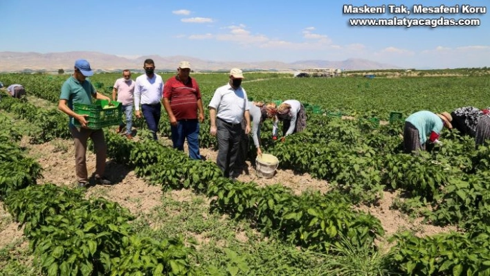 Esenlik genel müdürü Ünlü'den çiftçilere destek açıklaması