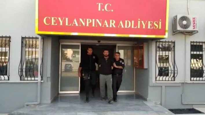 Eşine kalkan olmak isteyen polise saldırdı