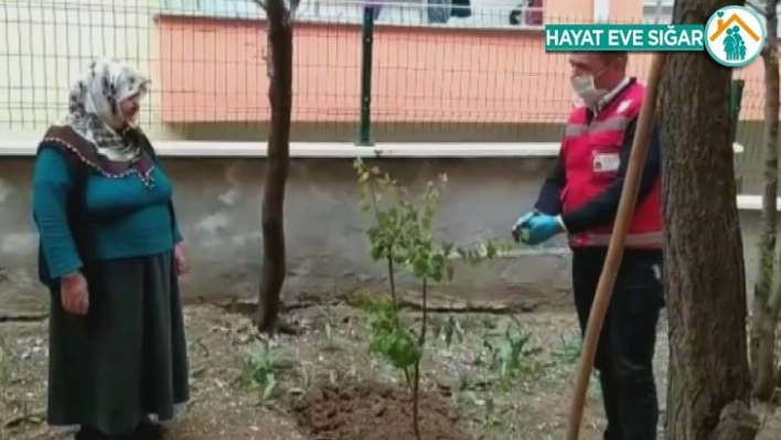 Evinden çıkamayan yaşlı kadın sosyal destek grubundan fidan istedi