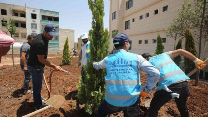 Eyyübiye'de yeşillendirme seferberliği devam ediyor