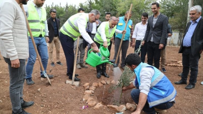 Eyyübiye'deki okullarda ağaçlandırma seferberliği başladı