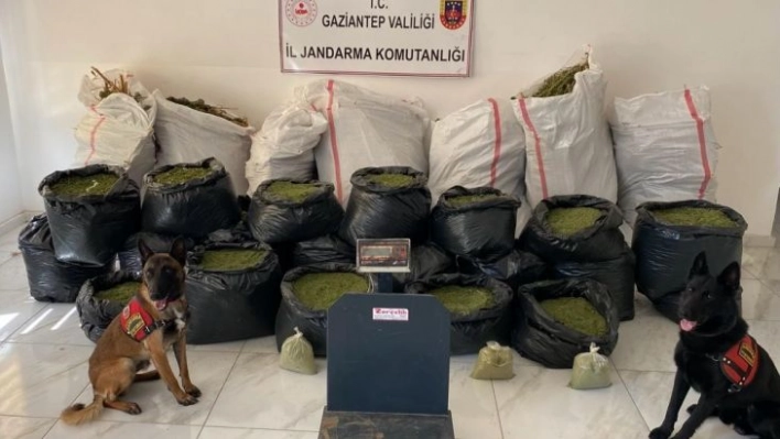 Gaziantep'te 235 kilo kubar esrar ele geçirildi