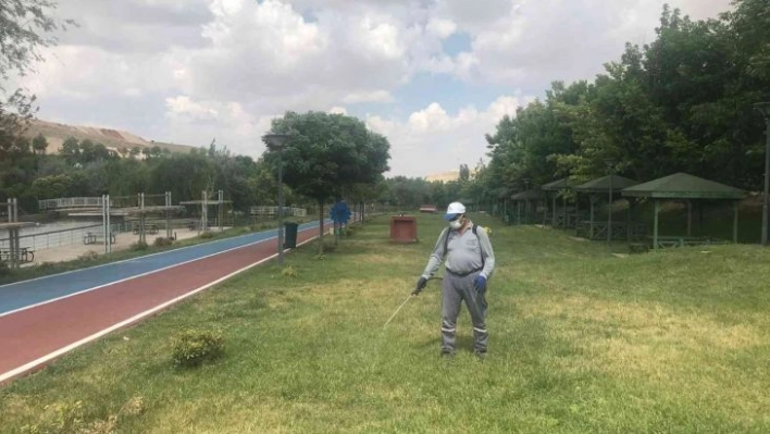 Gaziantep'te kene timi