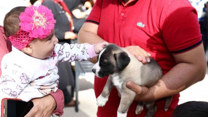 Gaziantep uygulaması ile puanını tamamlayanlara mama verildi