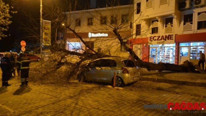 Gece yarısı korku dolu anlar... Dev ağaç otomobilin üzerine devrildi