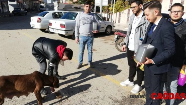 Gelendost Ülkü Ocakları'ndan örnek davranış