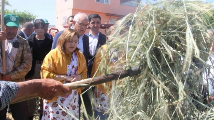 Geleneksel yöntemlerle yapılan firik ütme başladı