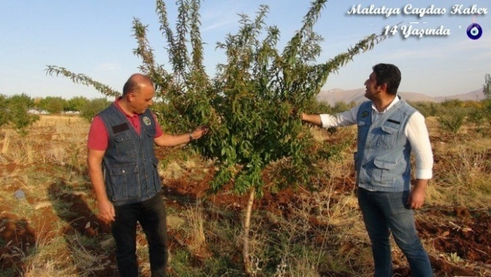 Gelir getirici ürünlerde başarı