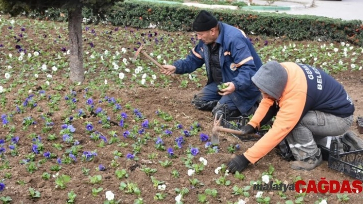 Gemlik yeşilleniyor