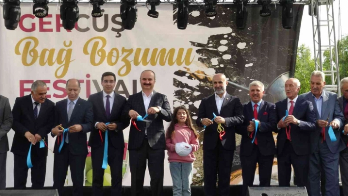 Gercüş'te bağ bozumu festivali düzenlendi