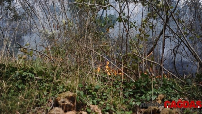 Giresun'da 4 noktada örtü yangınları devam ediyor