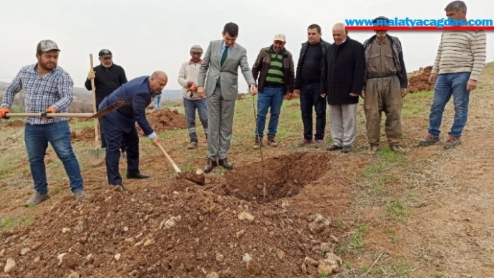 Gölbaşı ilçesinde ceviz projesi