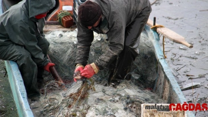 Göle serilen ağlar buz tuttu, balıkçıların mesaisi zorlaştı