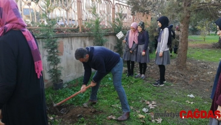 Gönüllü öğrenciler okul bahçesine ağaç dikti