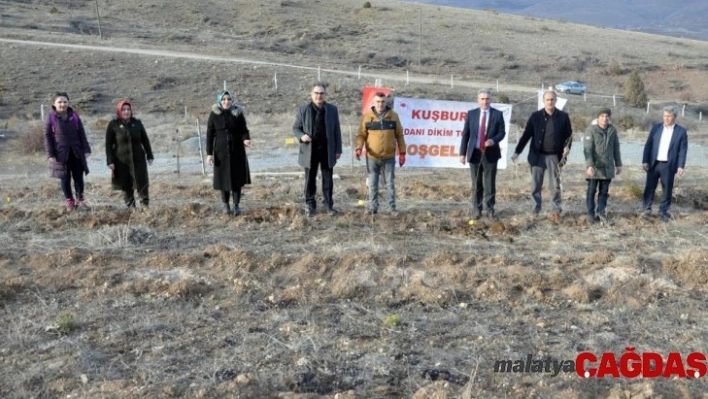 Gümüşhane'nin ilk kapama kuşburnu bahçesi Kelkit'e kuruldu