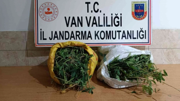 Gürpınar'da 17 kilo 400 gram kubar esrar ele geçirildi