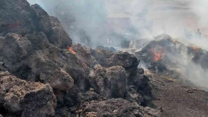 Gürpınar'da ot ve samanlar küle döndü