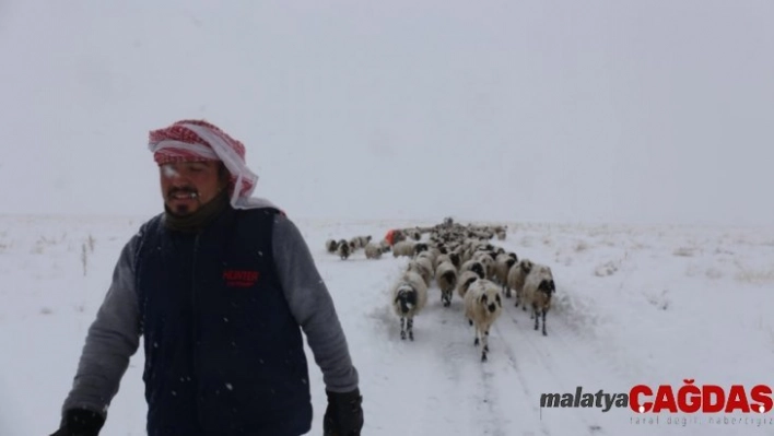 Gürpınar'da tipide mahsur kalan 2 çoban ve koyun sürüsü belediye ekipleri tarafından kurtarıldı