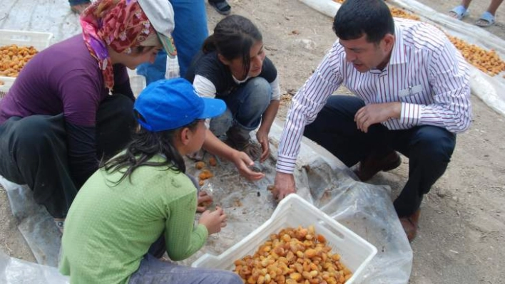 Ağbaba'dan Mevsimlik Tarım İşçileri İçin Araştırma Önergesi